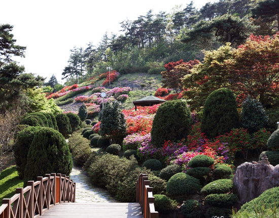 숲쟁이 꽃동산