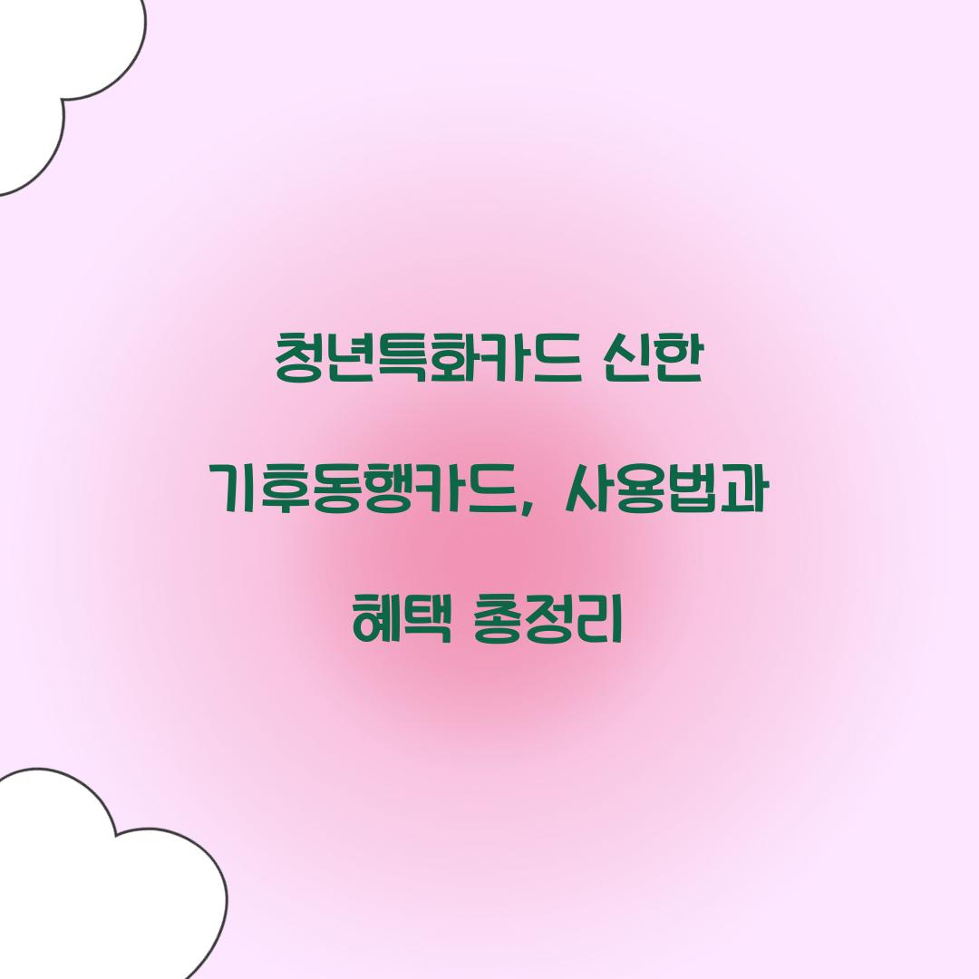 청년특화카드 신한 기후동행카드