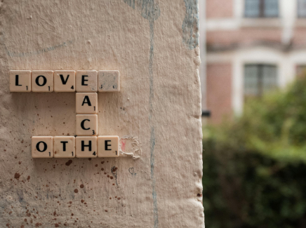 철분제 효능과 흡수율