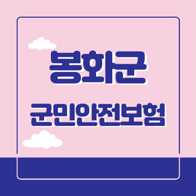 봉화군 군민안전보험