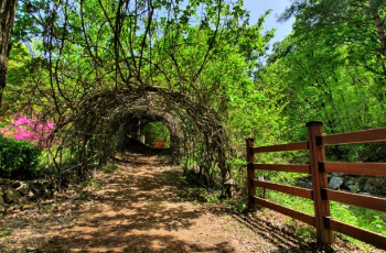 장령산 자연휴양림_2