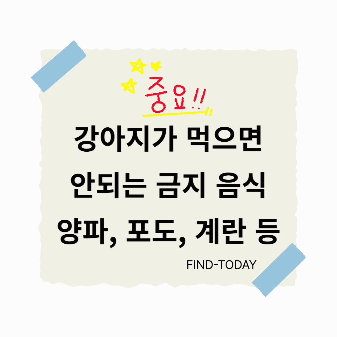 강아지가 먹으면 안되는 것 강아지 금지 음식 : 양파, 포도, 계란 등