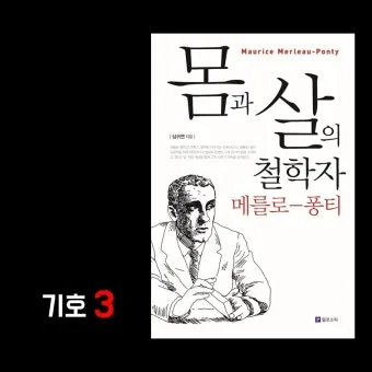 메를로퐁티 지각현상 3가지 예시와 현상학적 해석_7