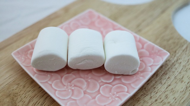 마시멜로의 원료