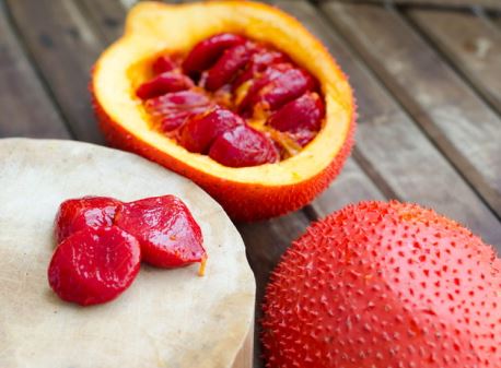 걱오일-섭취-방법