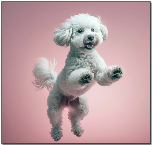 λ°κ³ μλ νΈλ€