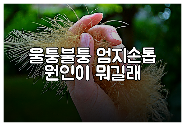 울퉁불퉁 엄지손톱 원인이 뭐길래
