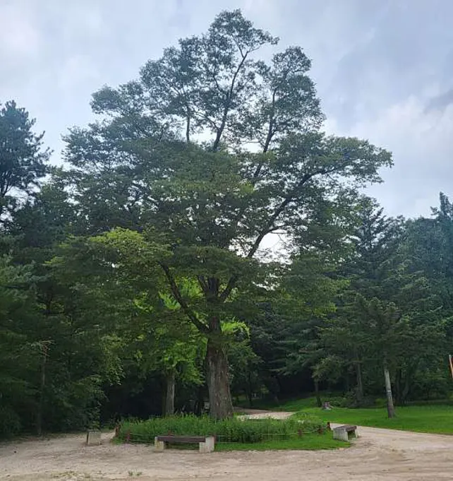 동구릉