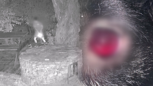 비비탄학대 솜솜이 현역군인 CCTV