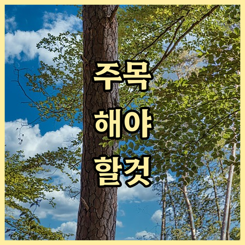 미국 ESTA 공식 홈페이지로 안전하..