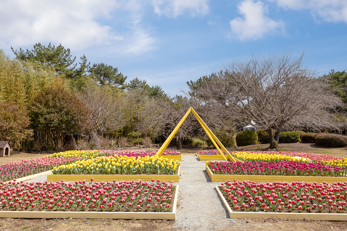 2024 상효원 튤립축제 기본일정과 특징 소개