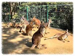 우미노나카미치 해변공원
