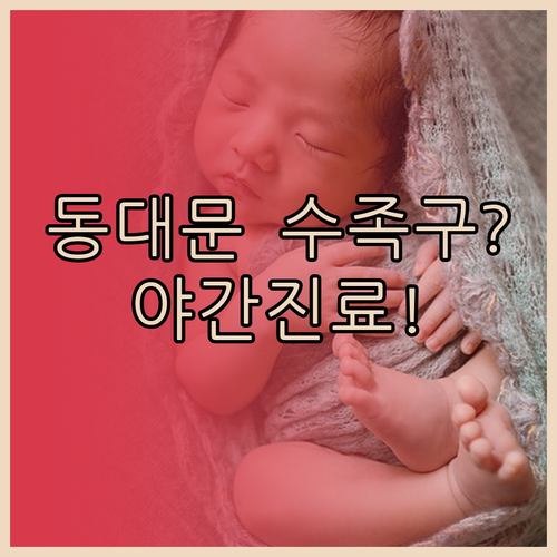 동대문구 수족구 증상부터 야간 진료 ..