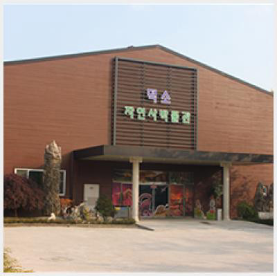 남양주 가볼만한곳 - 덕소자연사박물관