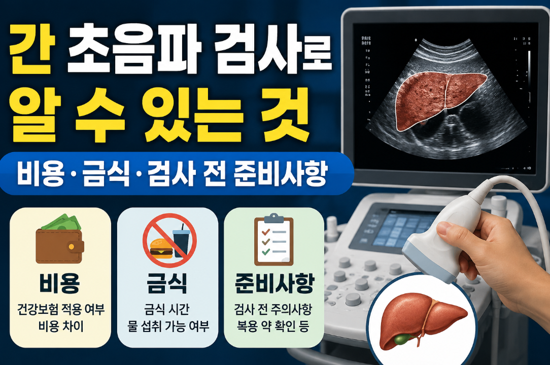 간 초음파 검사로 알 수 있는 것|비용·금식·검사 전 준비사항