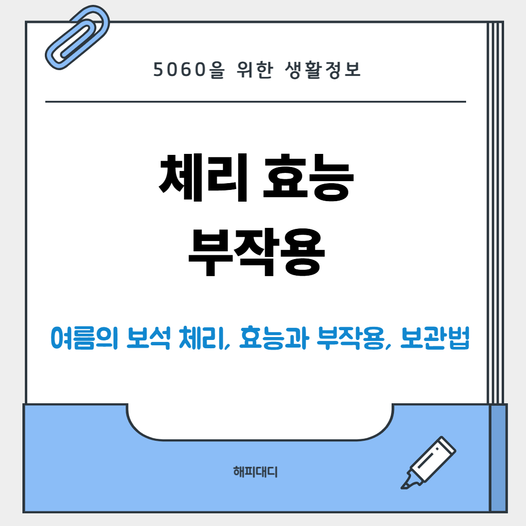 체리 효능
