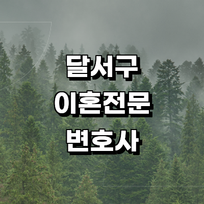 대구 달서구 이혼 변호사