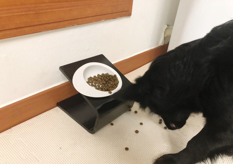 강아지사료 추천 ANF사료 더블미트 소고기 포 독