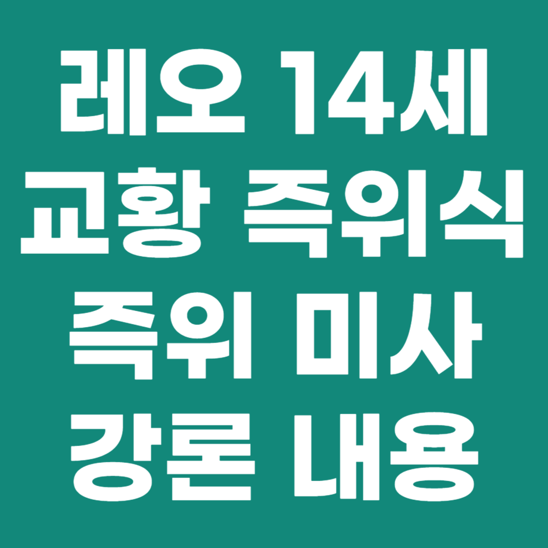 레오 14세 즉위미사 강론 전문 보기