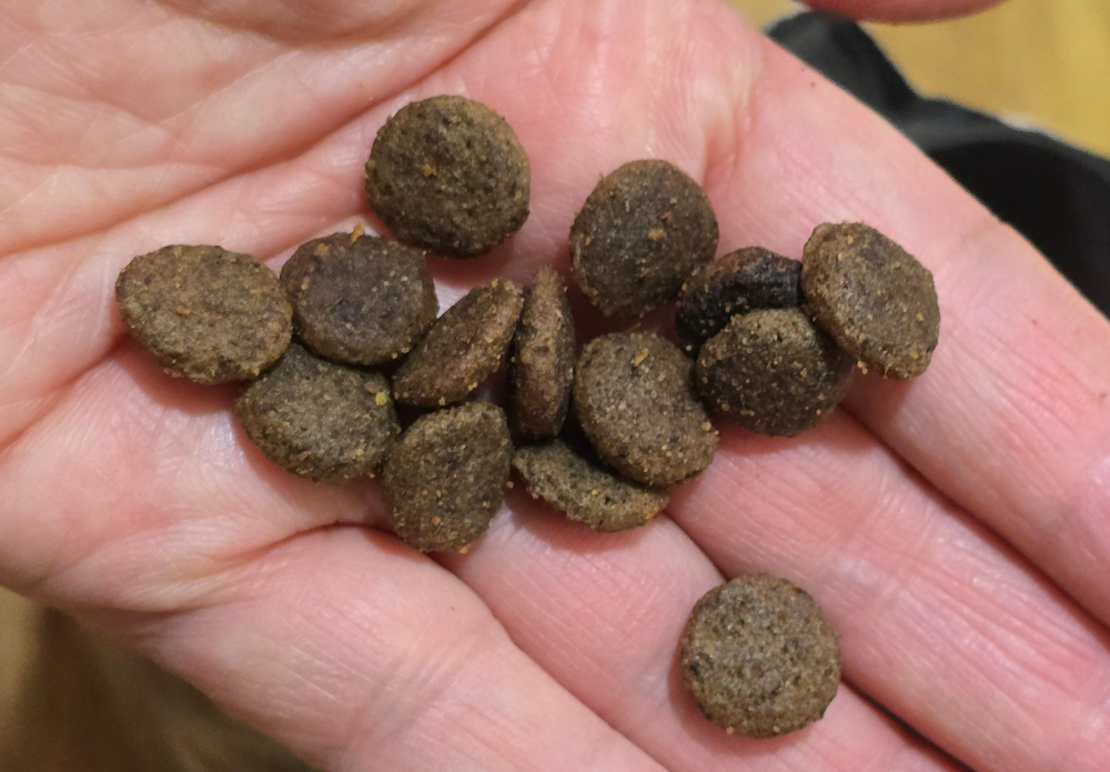 샘스필드 캣 사료4