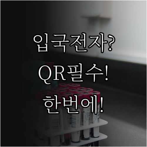 중국 입국 전자신고서 QR 코드 발급..