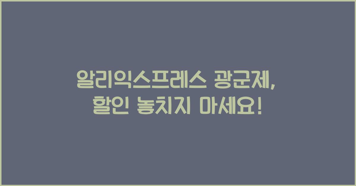 알리익스프레스 광군제
