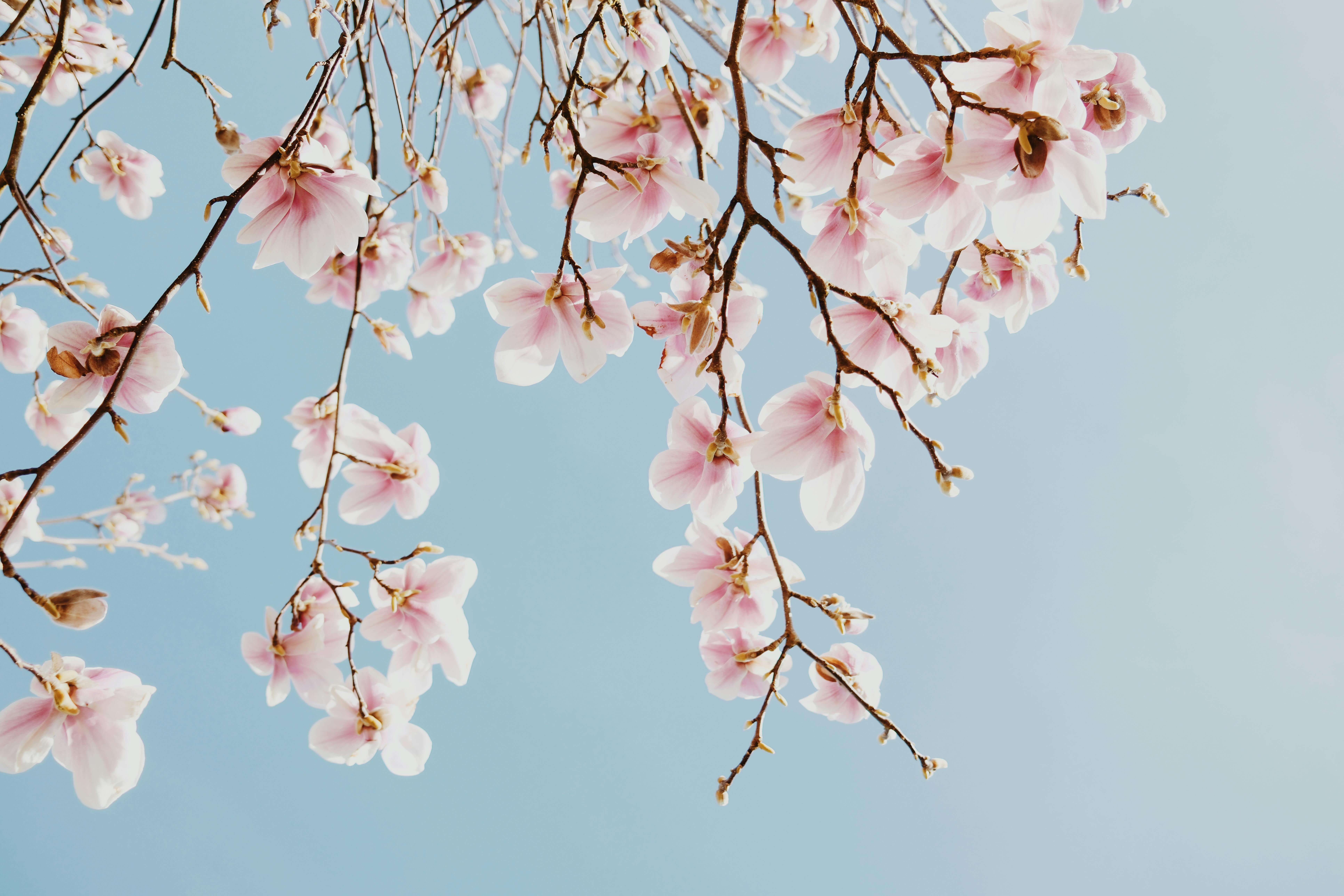 춘곤증 원인과 해결 방법&amp;#44; 봄철 피로가 계속되는 이유