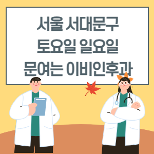 서울 서대문구 토요일 일요일 이비인후과 진료 병원 리스트