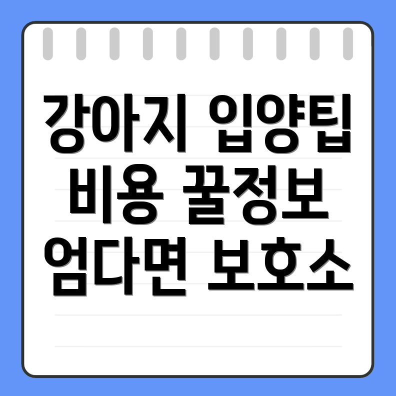 강아지 보호소