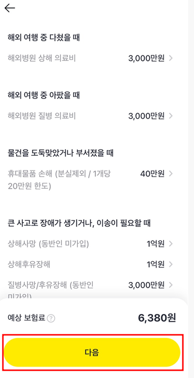 카카오 여행자보험