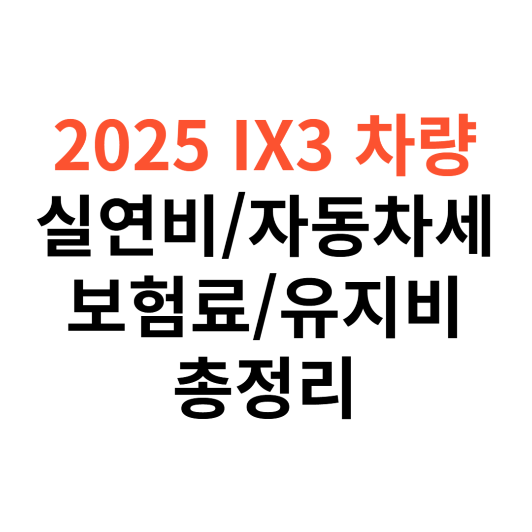 2025년 iX3 차량 실연비