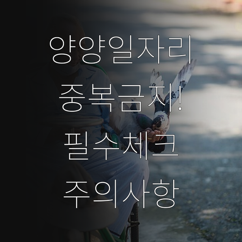 양양군 시니어클럽 노인 일자리 중복 ..