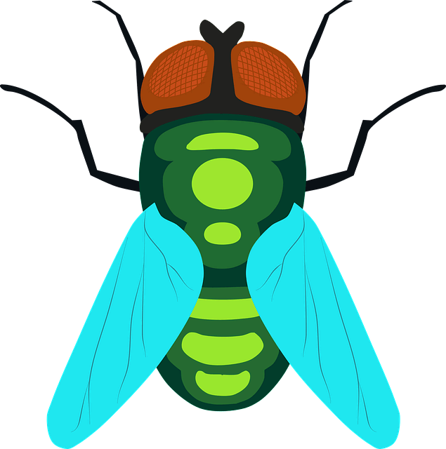 커다란 파리 한마리가 있다. 날개는 하늘색, 두눈은 갈색이다.