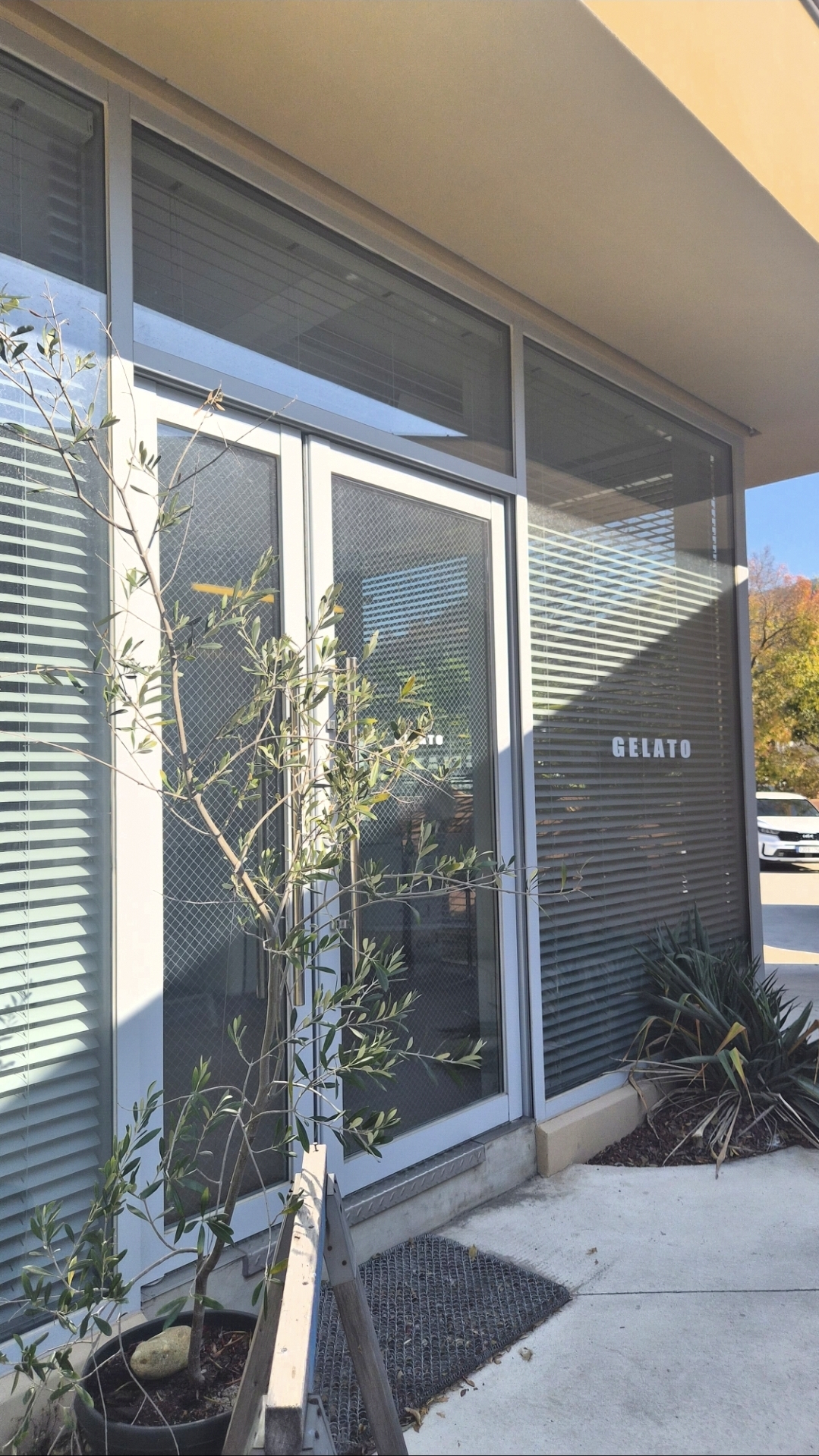 럭키웨더젤라또