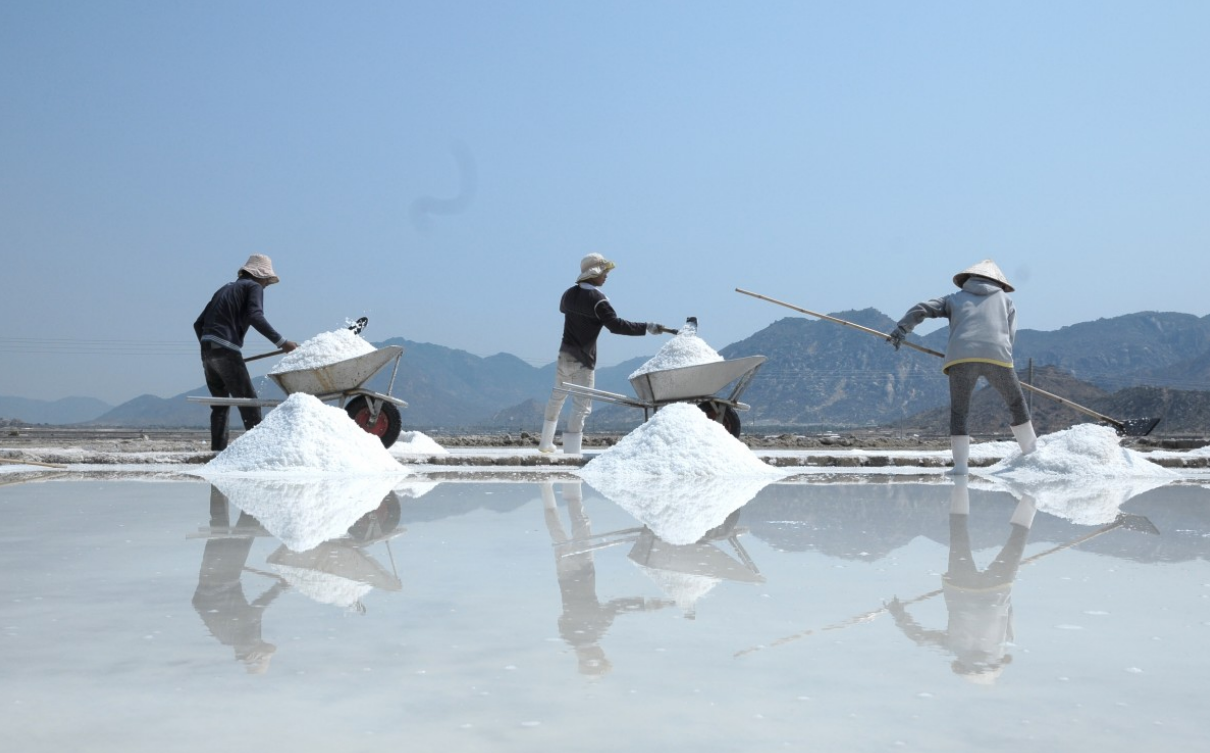 바다에 있는 소금을 채취하는 사람들의 모습