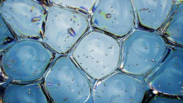 콜라겐 효능과 부작용