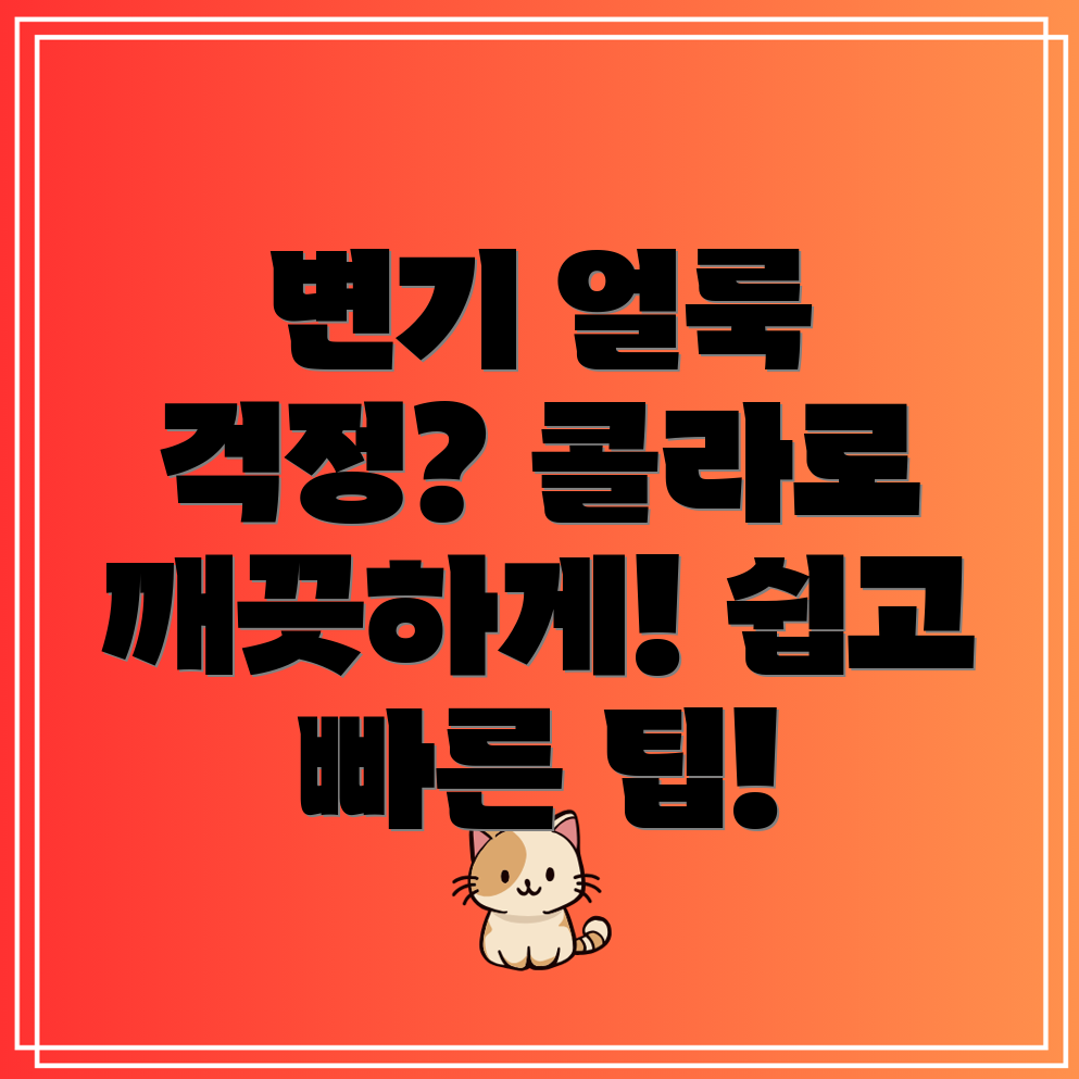 변기 얼룩 제거