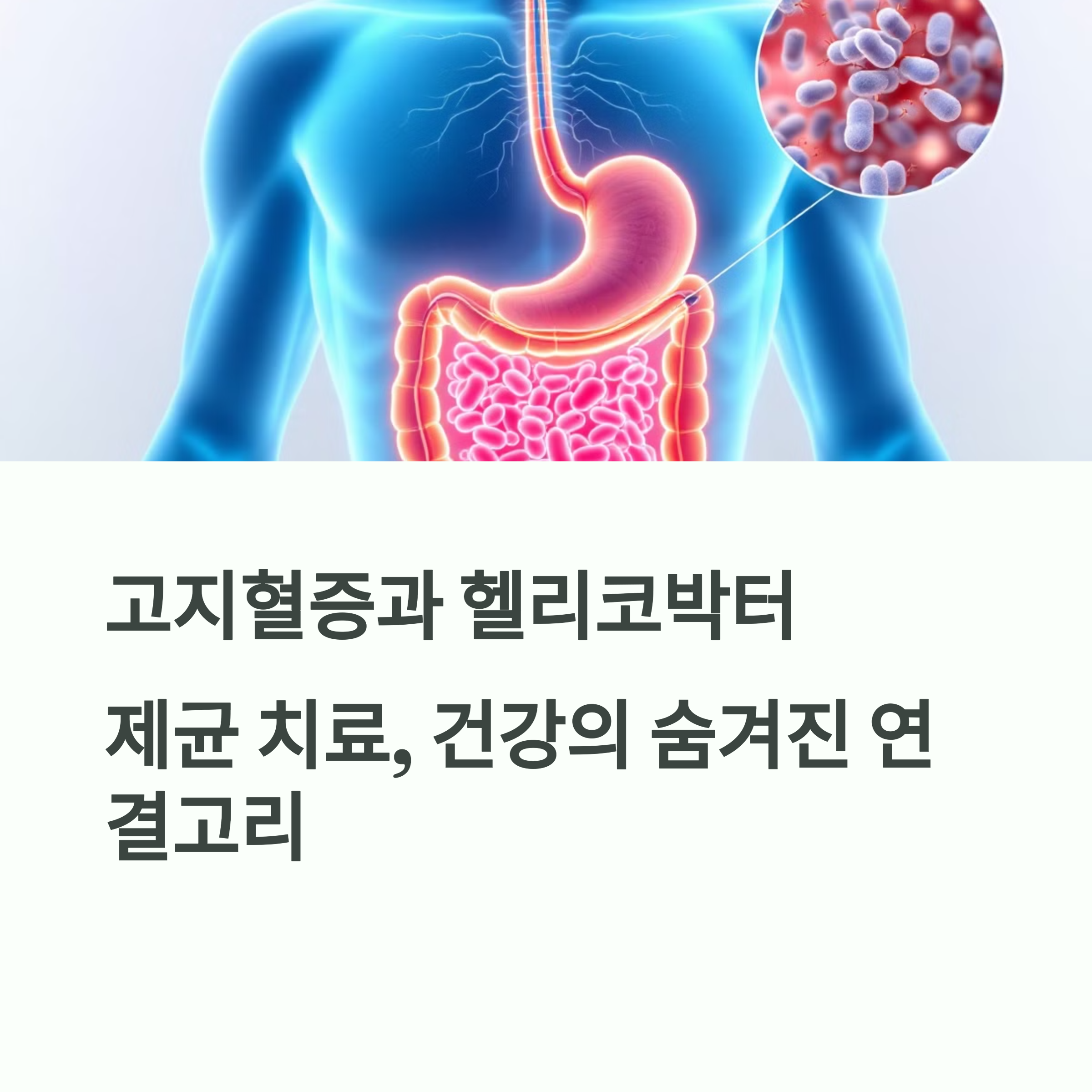 고지혈증 증상과 헬리코박터 제균치료