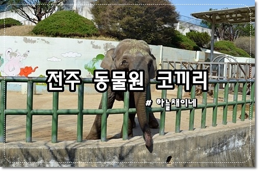 전주 동물원