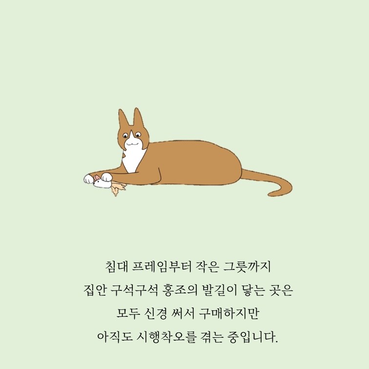 홍조 민정원 1인1묘살림일지