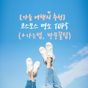가을 여행지 추천 코스모스 명소