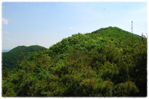 도고산