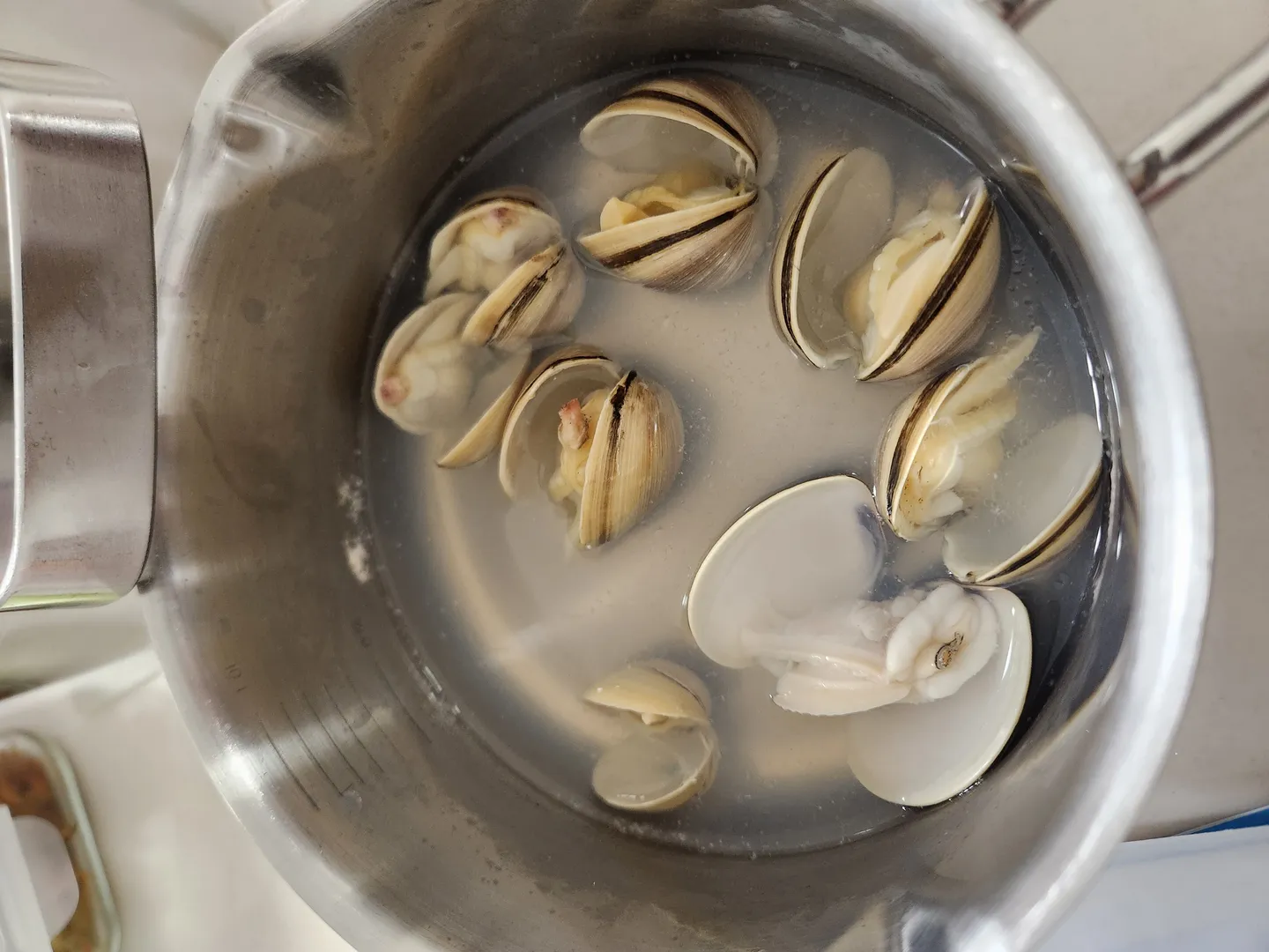 맛조개, 동죽 맑은 탕 이미지