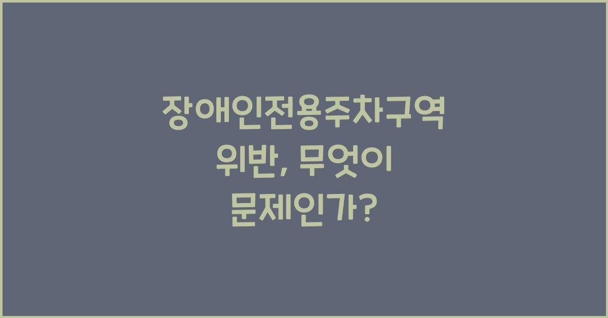 장애인전용주차구역 위반