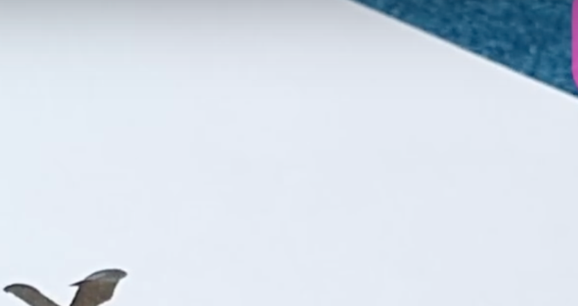 축의금 봉투 쓰는 법