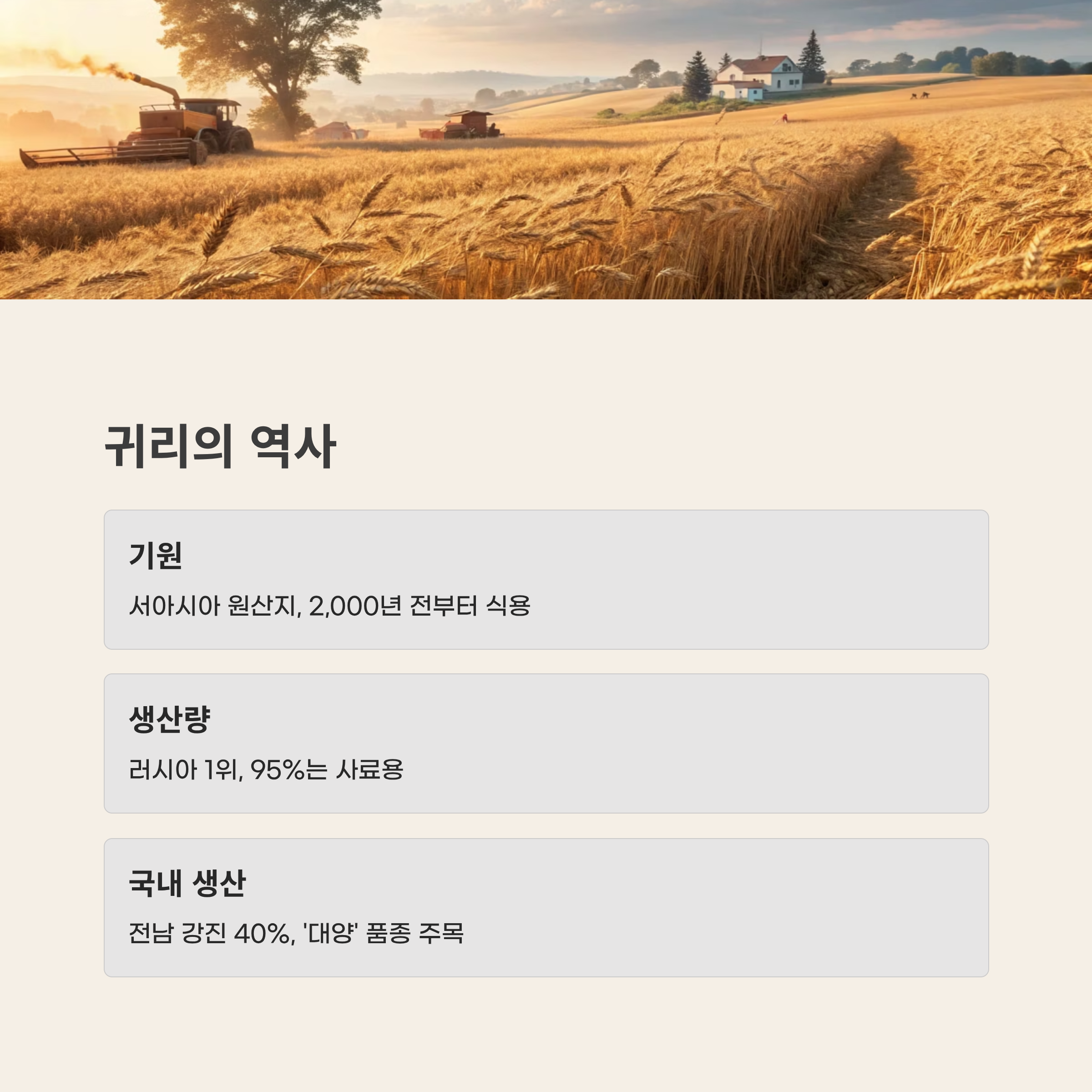 귀리 효능과 부작용 2025 완벽 가이드 – 슈퍼푸드 효능과 숨겨진 함정 총정리!
