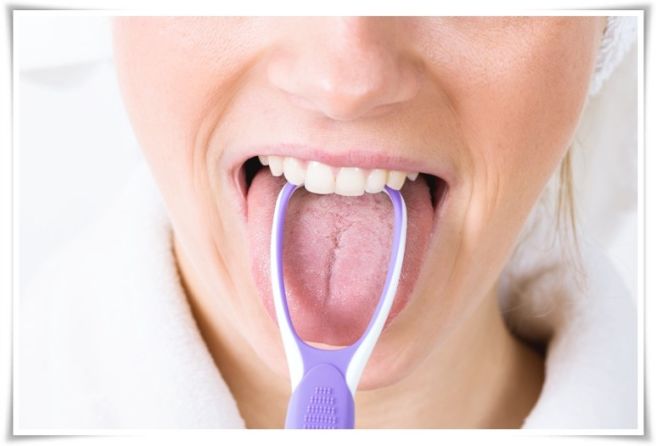 혀가 갈라지는 이유