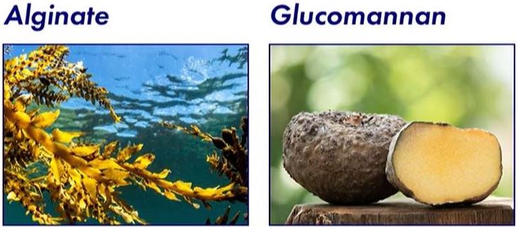 듀오렉신-나비정-효과