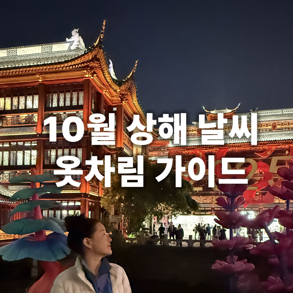 10월 상해 가이드