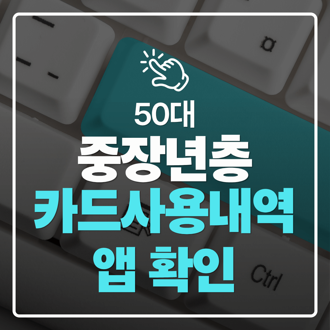 중장년층 디지털 도전 카드 사용 내역을 앱으로 확인하는 방법과 관리 팁